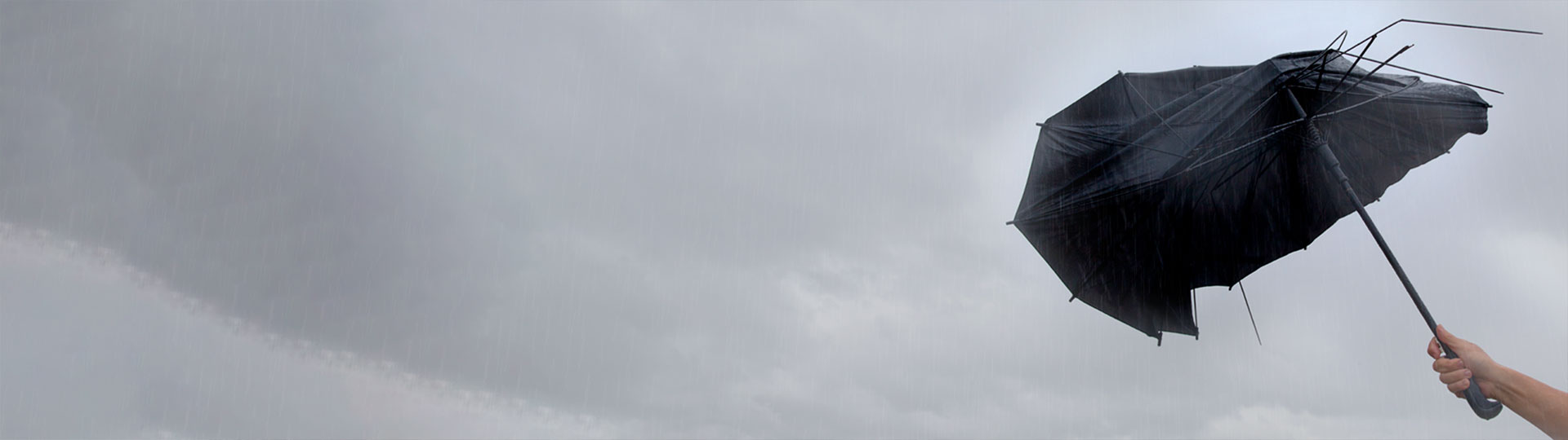 umbrella